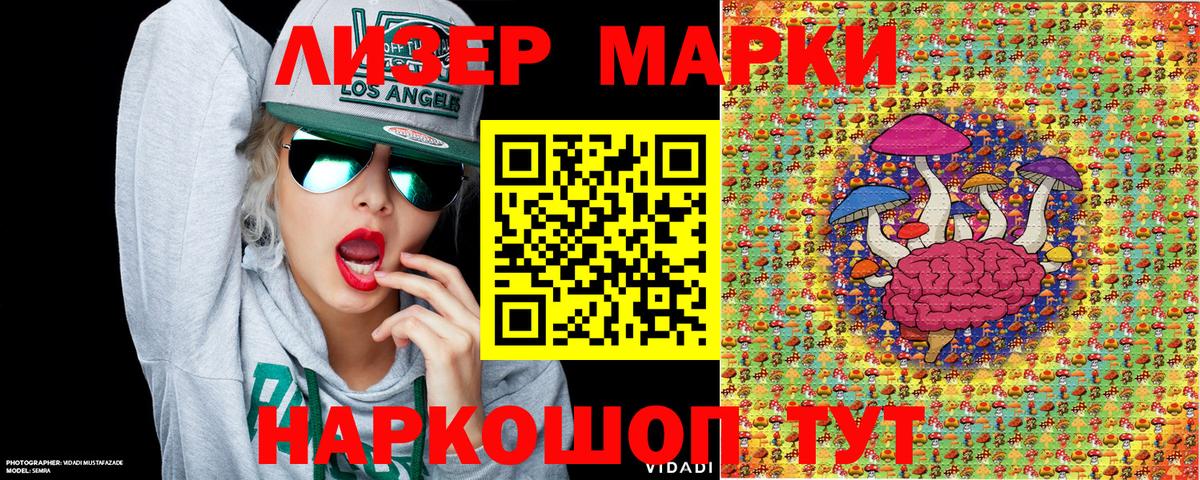Марки N-bome 1,5мг  Марки N-bome 1,5мг  Вход с VPN  Лесной 