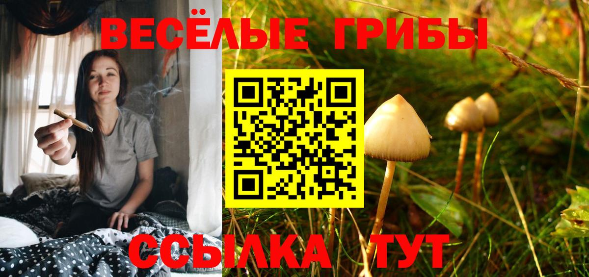Галлюциногенные грибы мицелий  Вход с VPN  где купить наркоту  Лесной 