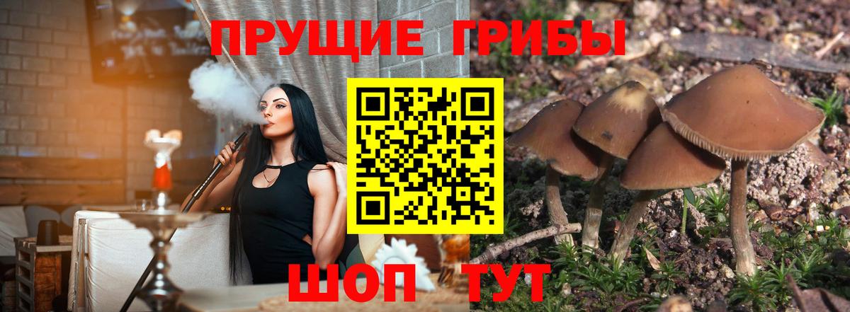 Псилоцибиновые грибы мухоморы Лесной